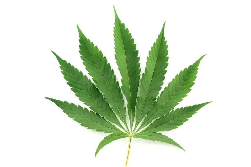 Shelf Wars: Why Your Cannabis Packaging Is Either Closing the Sale or Killing It